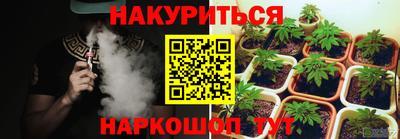 сатива Бузулук