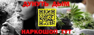 сатива Бузулук